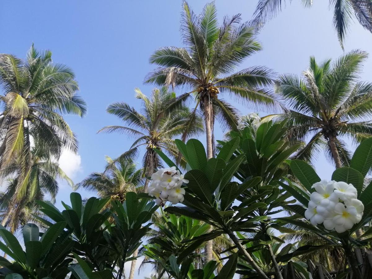 Nayan'S Paradise Kottanitivu Exterior foto